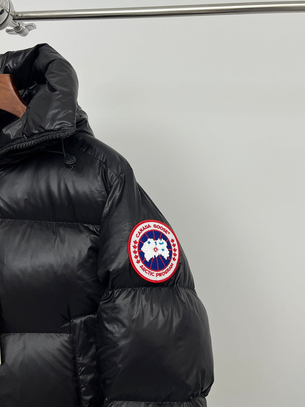 Black Canada Goose