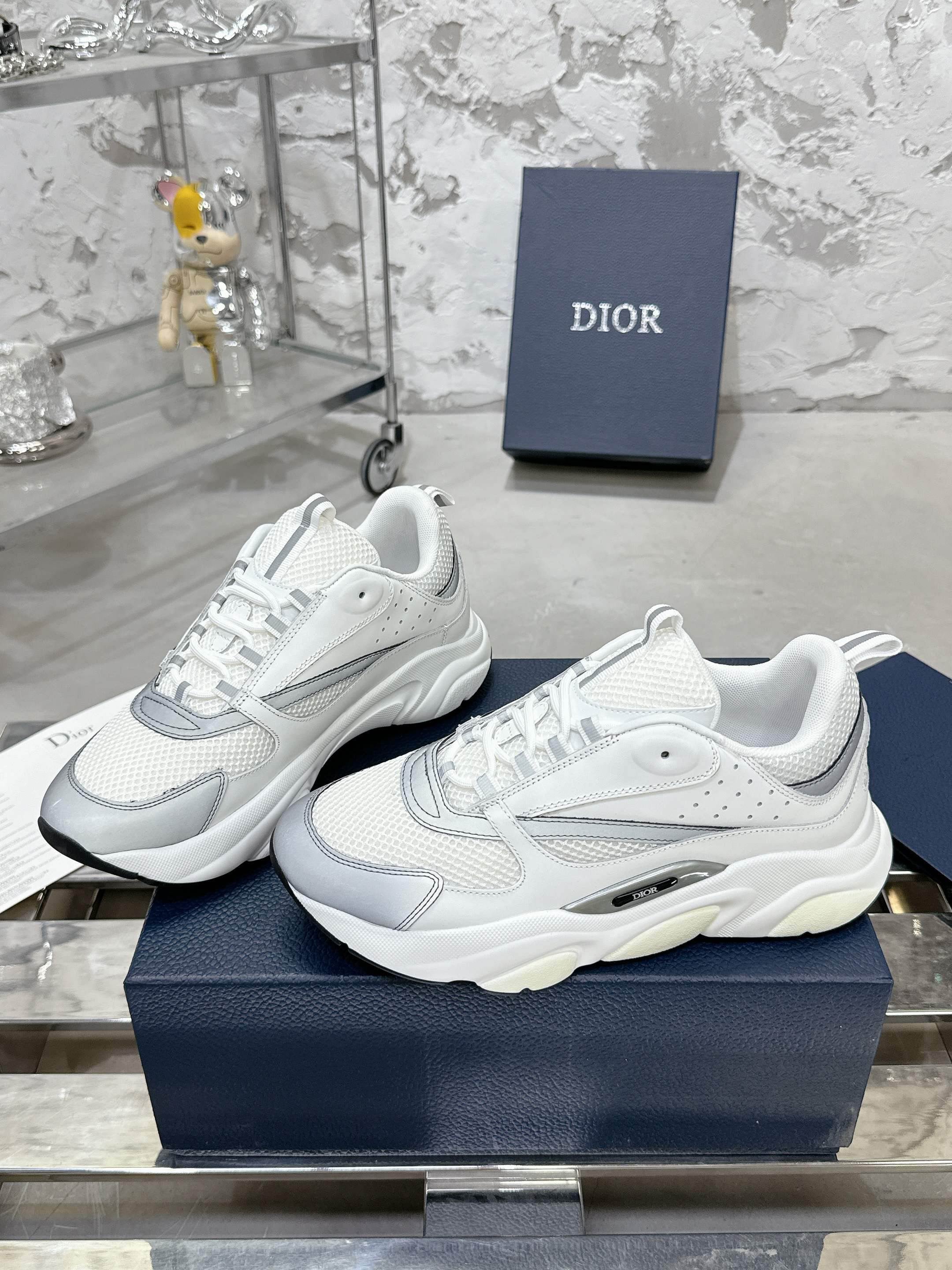 DIOR B22 White