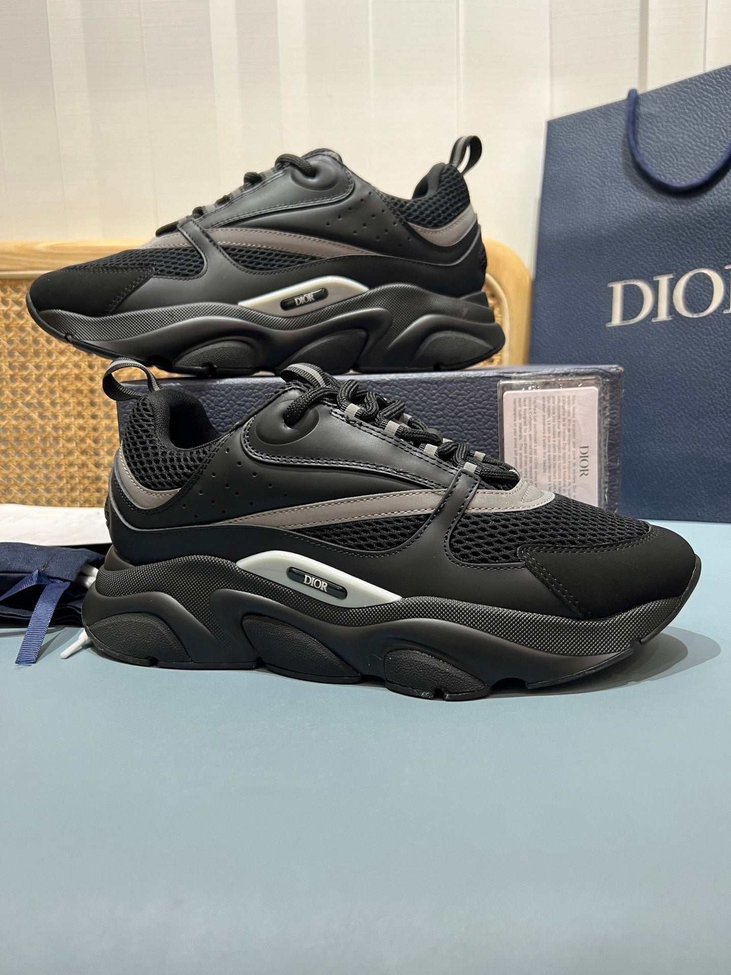 DIOR B22 black
